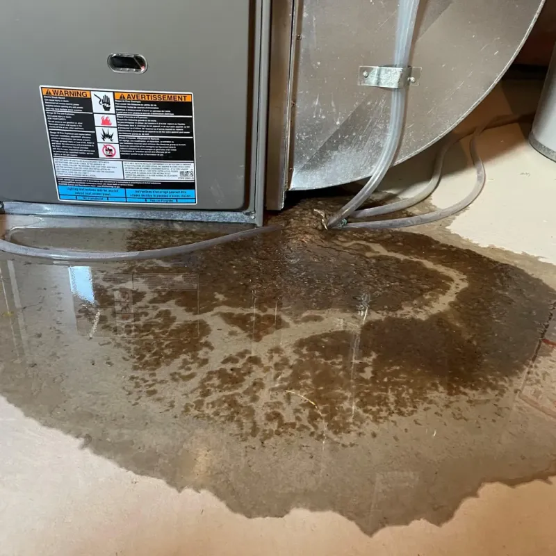 Appliance Leak Cleanup in Moundville, AL